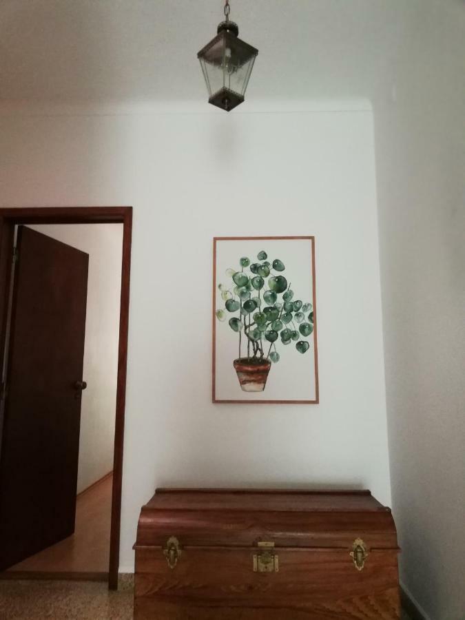 Arronches Villa Dış mekan fotoğraf