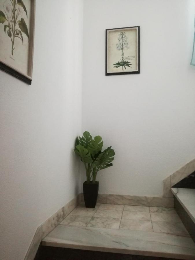 Arronches Villa Dış mekan fotoğraf